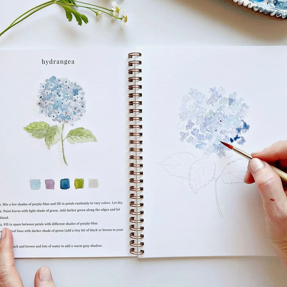 Watercolor Workbook | Flowers