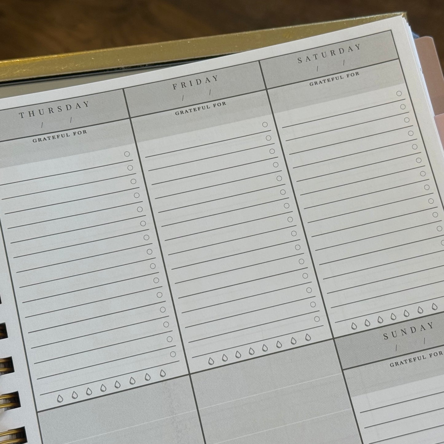 Arise Christian Planner | Blue