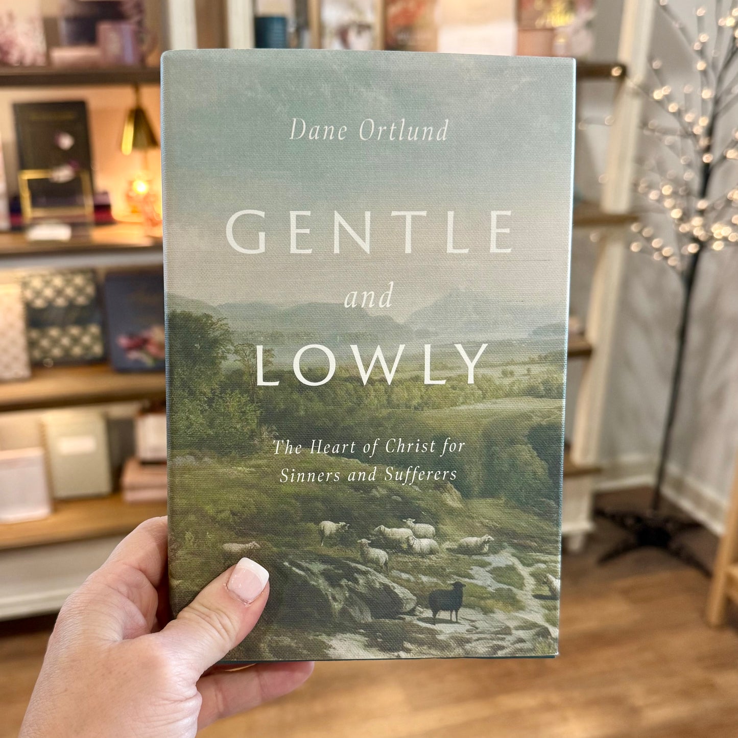 Gentle and Lowly: The Heart of Christ for Sinners and Sufferers