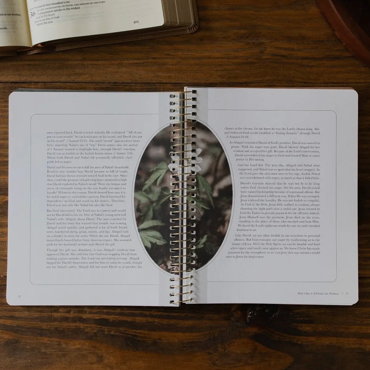 Peaks and Valleys: Learning To Look To Christ in Life's Highs and Lows | A Study On the Life of David
