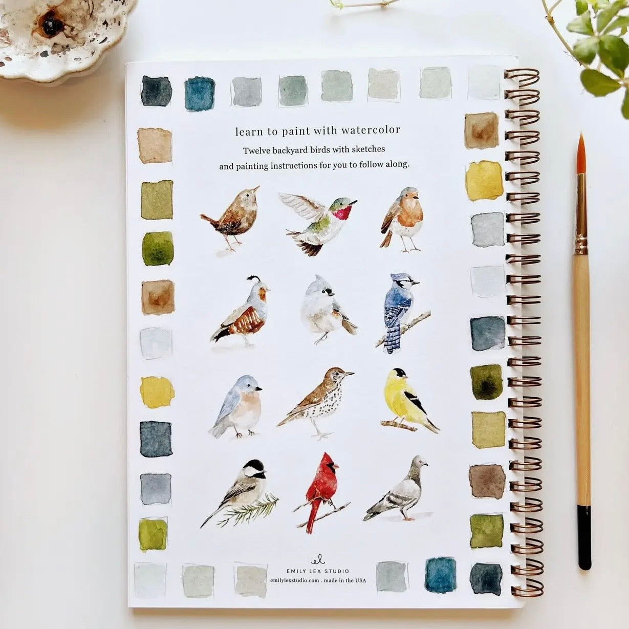Watercolor Workbook | Birds