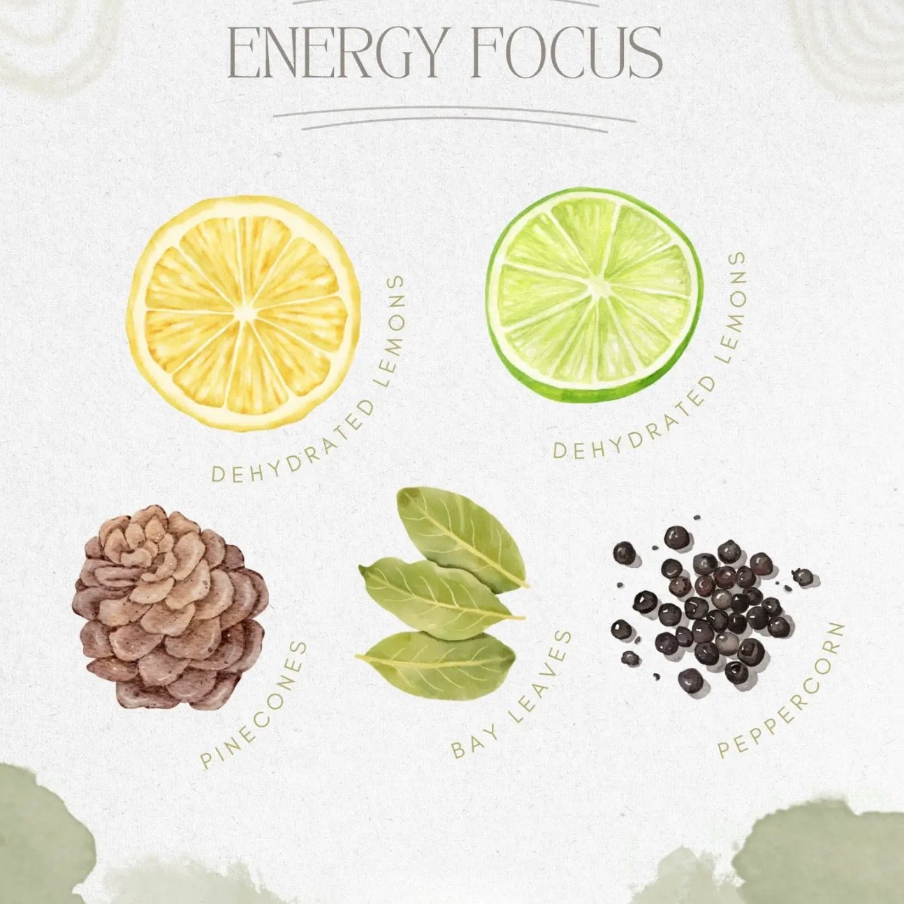 Simmer Pot | Energy Focus