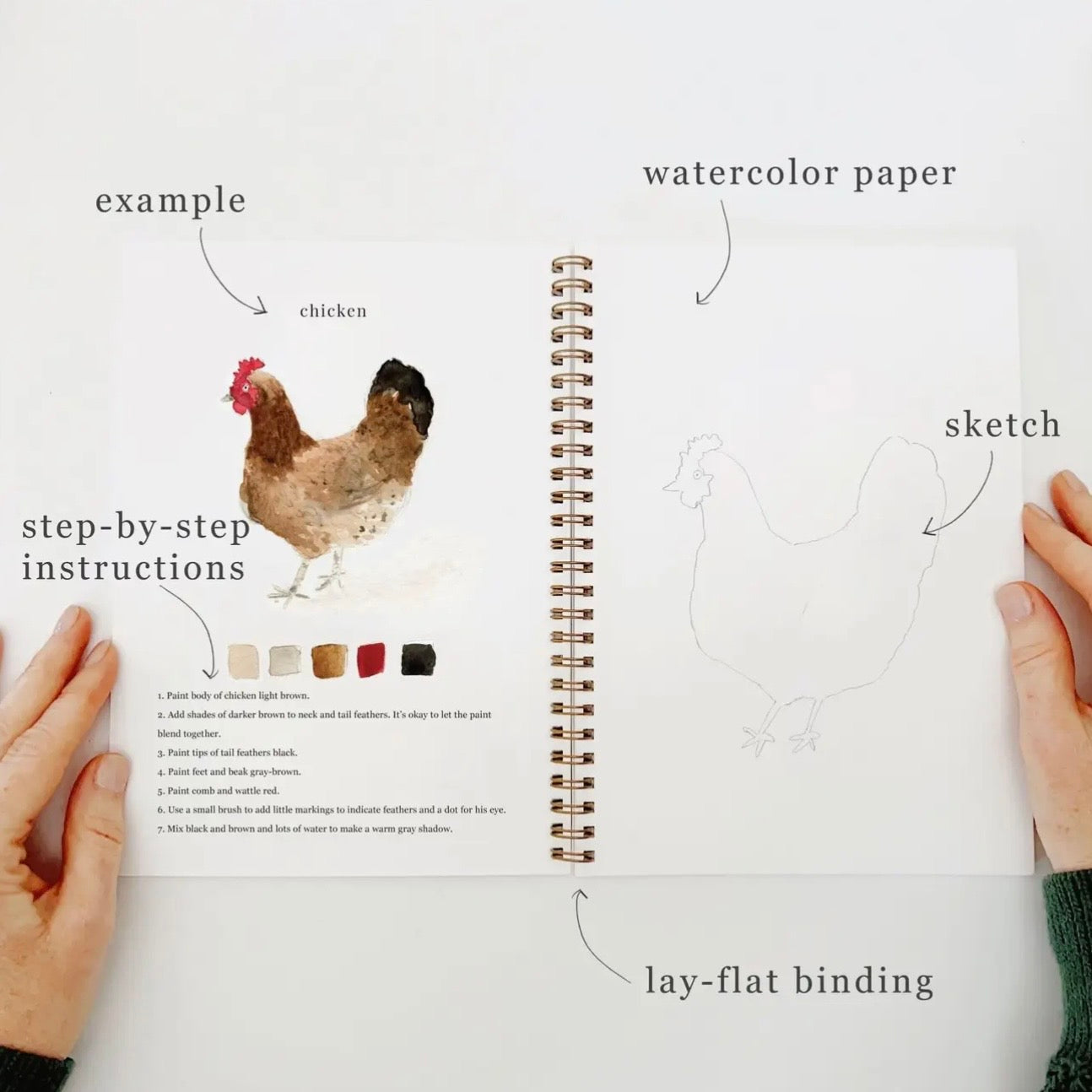 Watercolor Workbook | Animals