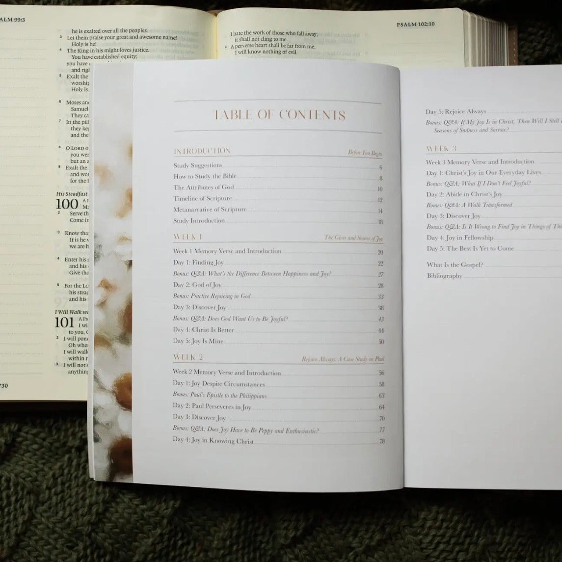 Bible Study | A Joy That Endures