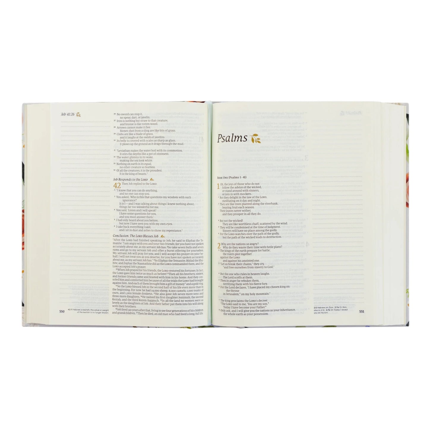 Loveland Notetaking NLT Bible