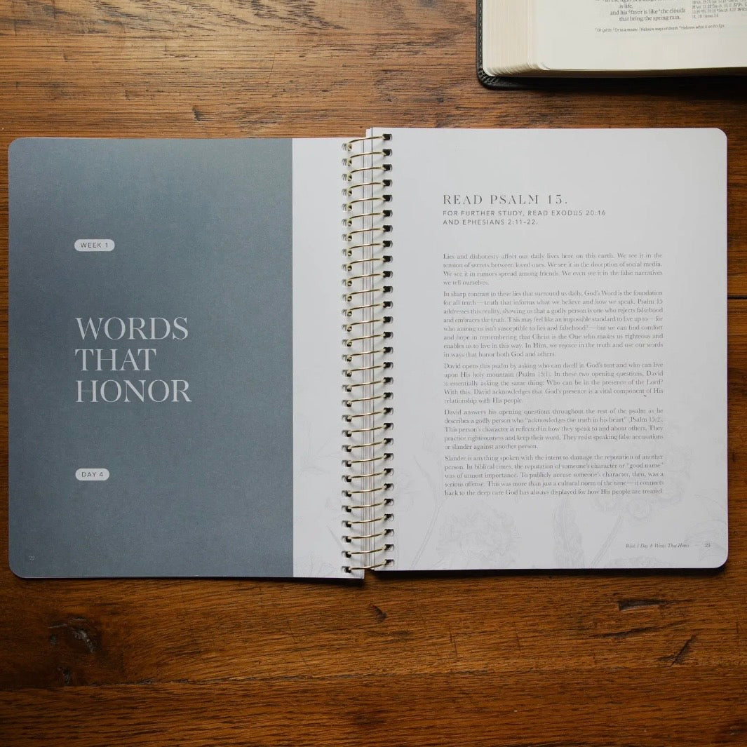 Bible Study | Sticks and Stones