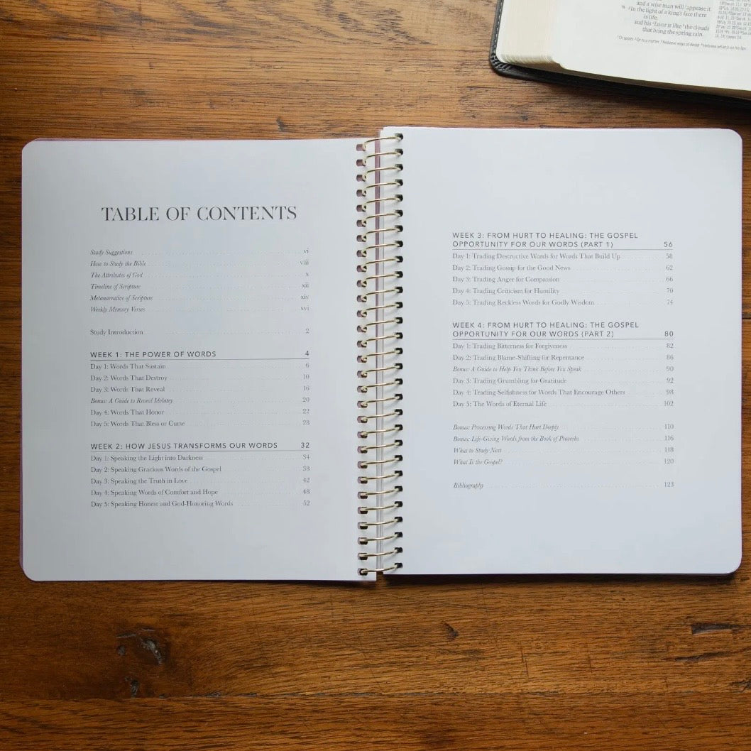 Bible Study | Sticks and Stones